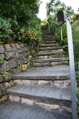 Pers&ouml;nlichkeits "Ent" Wicklung