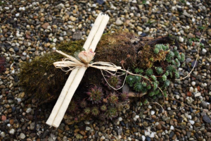 Ohrenkerzen/K&ouml;rperkerzen